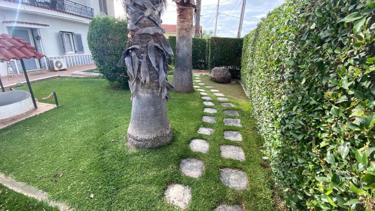 Patras Palm Tree公寓 外观 照片
