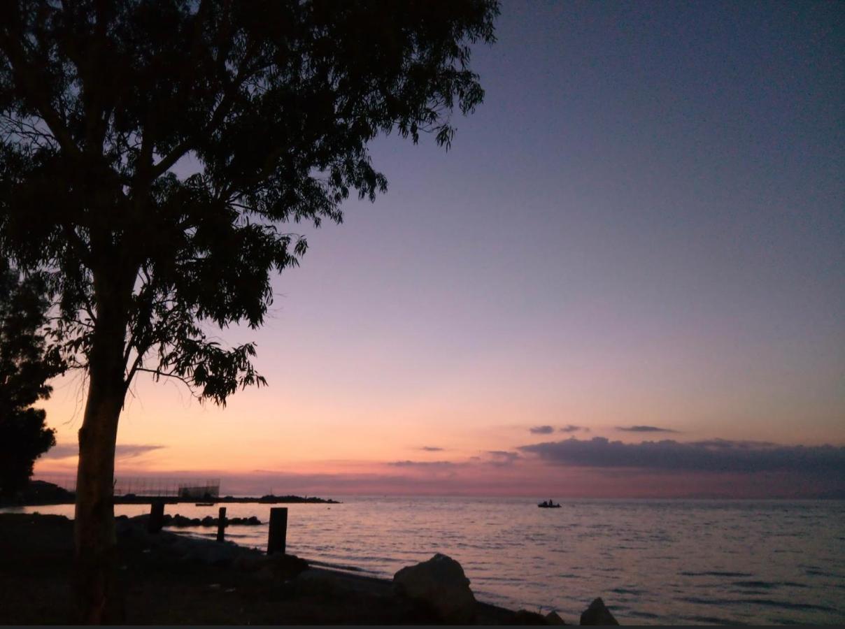 Patras Palm Tree公寓 外观 照片