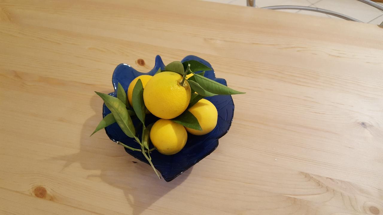 Patras Palm Tree公寓 外观 照片