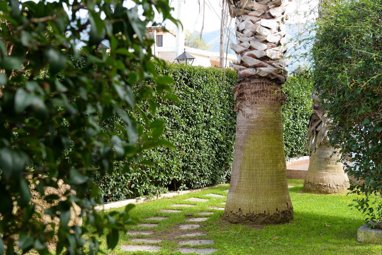 Patras Palm Tree公寓 外观 照片